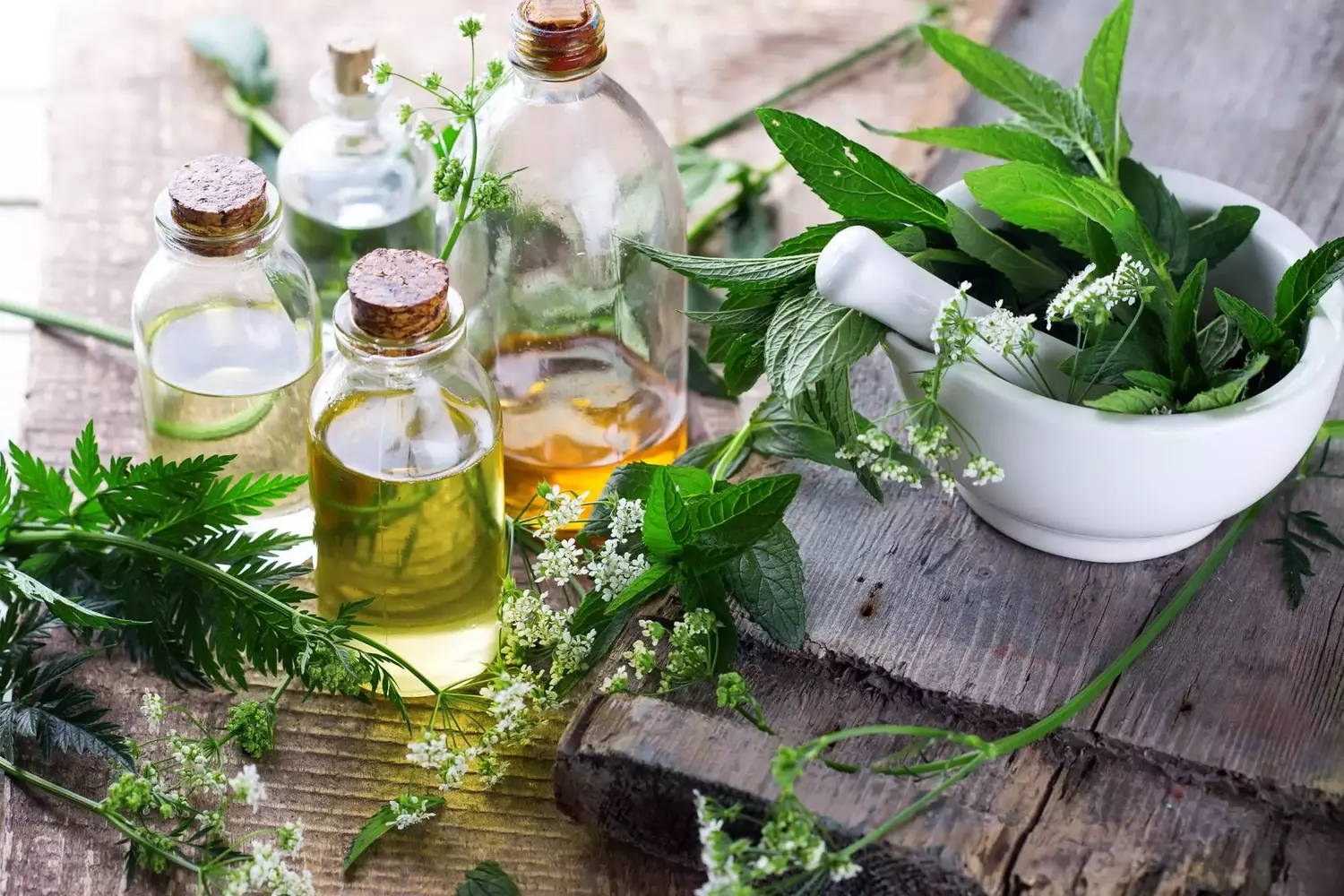 Essential aroma oil Frisch, gesund und lecker: Was Salbei alles kann