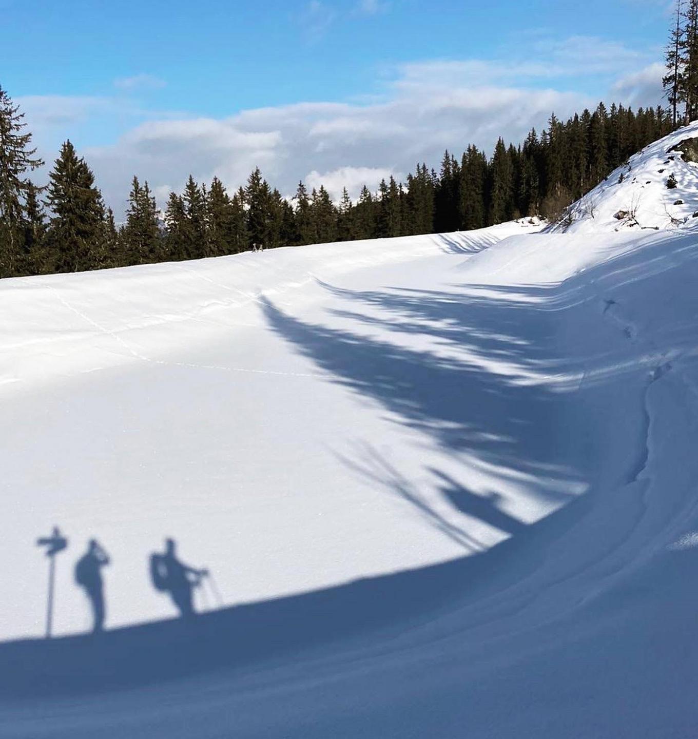 Die schönsten Skitouren im vorderen Zillertal